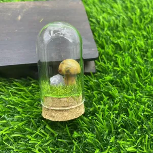 Décoration de paysage miniature en dôme de verre champignon cristal avec base en liège.