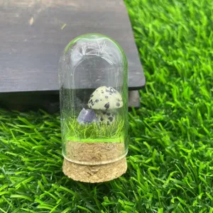 Gros plan d'un paysage de cloche en verre miniature avec pierre de cristal et base en bois.