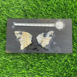Natural semi-precious stone carved butterfly wings crystal specimen set with ruler display detail.