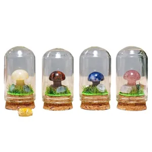 Figurine Sculptée en Forme de Champignon en Pierre Semi-précieuse Naturelle Sous Dôme en Verre Avec Base en Bois Décoration en Cristal