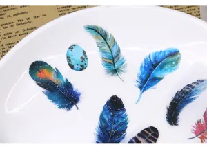 Original dreamy feather washi stickers set, colorful planner journaling decorative diary packs