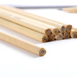 Triangular HB wooden pencil for student writing and sketching with natural wood finish main view.