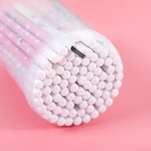 Detail shot of cute 2B mechanical pencil lead refills in a transparent storage barrel container.