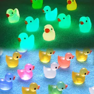 Mini canards en resine lumineuse brillants dans le noir micro paysage decoration principale