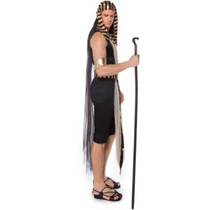 Detailed view of men's Egyptian Pharaoh costume featuring gold headpiece and black apparel set.