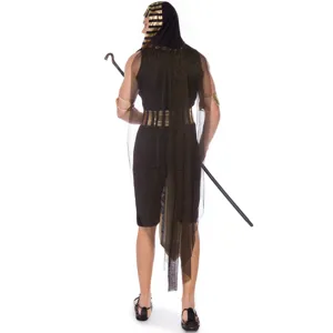 Back detail view of men's Egyptian pharaoh costume showcasing black and gold design.