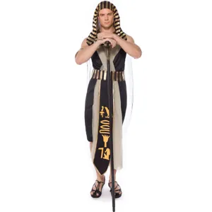 Detailed view of men's Egyptian pharaoh costume with gold and black nemes headpiece and robe.