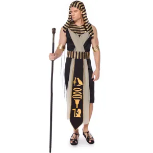 Detailed view of the men's Egyptian pharaoh costume, featuring golden headdress and classic details.