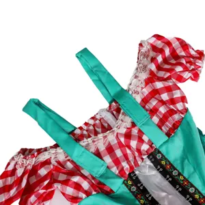 Oktoberfest dirndl costume detail, red gingham puff sleeves, traditional german beer maid outfit