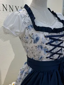 German Bavarian beer festival dress detail, elegant blue floral bodice with apron.