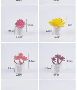 Mini pianta grassa artificiale in vaso vista dettagliata con dimensioni e stili differenti.
