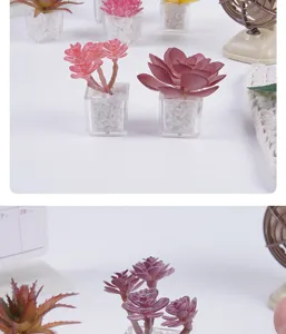 Piante grasse artificiali in vaso trasparente ideali per la decorazione della scrivania.