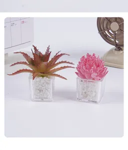 Mini piante grasse artificiali in vaso quadrato trasparente, perfetta decorazione per casa.