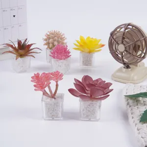 Mini piante succulente artificiali in vaso di plastica decorazione per la scrivania