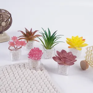 Mini piante succulente finta plastica vaso piante grasse per decorazione scrivania ufficio