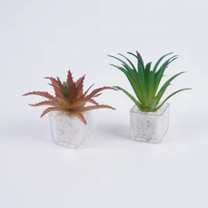 Piccole piante succulente artificiali in vaso trasparente con pietre bianche per scrivania