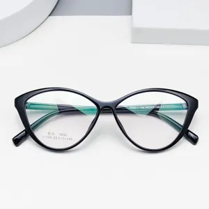 Lunettes Anti-Lumière Bleue Œil de Chat Unisexe Mode TR90 Lunettes Optiques Monture Minimaliste Grande Monture pour Myopie