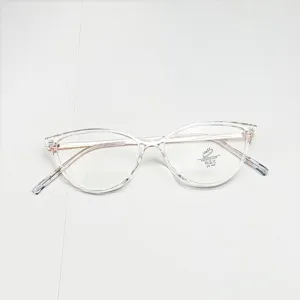 Clear cat-eye glasses frame with metal temples anti blue light UV400 eyewear detail