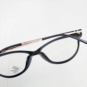 Fashion cat eye optical glasses frame lightweight TR90 metal temple for women men main view