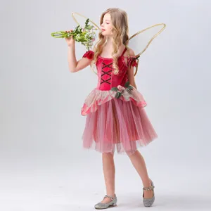 Detailed view of the children fairy costume wings and pink mesh dress for party performance.
