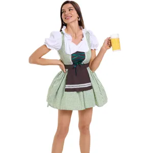 Detail view of the traditional German Dirndl costume featuring a green gingham dress and apron.