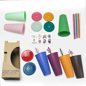 Ensemble de tasses froides réutilisables 24oz avec couvercles et paille, gobelets en plastique.