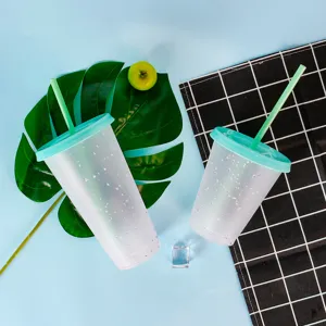 Plastic Straw Cup Color Changing Glitter Cold Drink Cup With Lid And Straw Reusable Tumbler For Juice Coffee