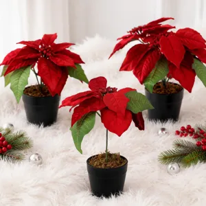 Detailed view of three potted red poinsettia plants with artificial moss and Christmas decor.
