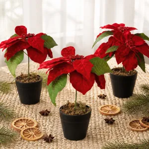 Artificial Christmas poinsettia potted plants set of 3 red velvet flowers indoor decor details.