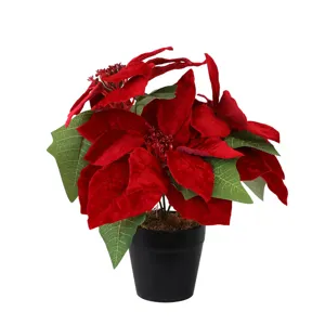 Red artificial poinsettia potted plant for Christmas indoor holiday decoration floral display.