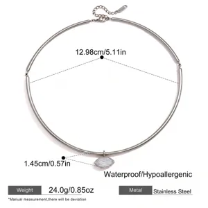 Edelstahl Choker Halskette mit Zirkon Anhänger, wasserdicht, hypoallergen, elegant und stilvoll.