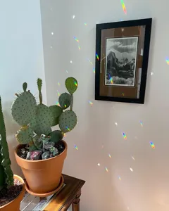 Nahaufnahme des Kristall-Sonnenfänger-Prismas mit Regenbogenlichteffekt an Wand und Kakteen.