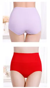 Vue de detail culotte taille haute en coton avec broderie florale et maintien du dos.