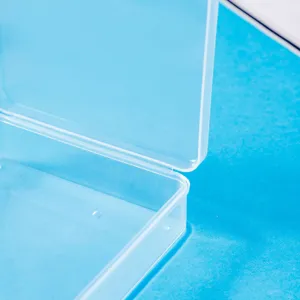 Transparent plastic storage box detail close up showing clear hinged lid and empty container.
