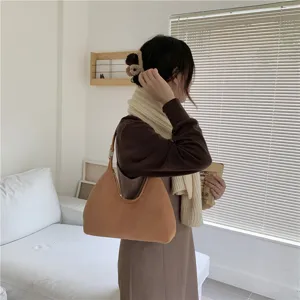 Korean style plush hobo bag for women, cozy fuzzy shoulder underarm bag for autumn and winter style.