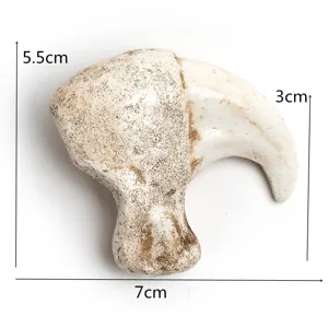 Resin cougar claw craft replica animal skull pendant necklace accessory decor for sale