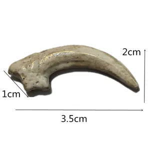 Resin barn owl claw pendant animal tooth skull necklace accessory craft DIY decor items