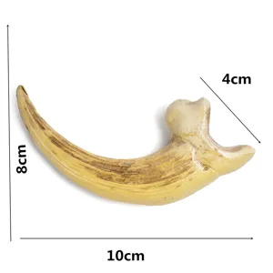 Resin animal claw pendant replica gothic bone necklace accessory amulet talisman decor 10cm