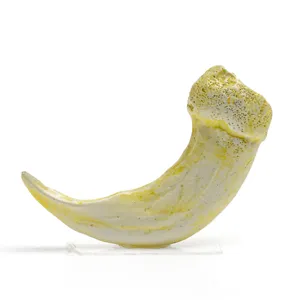 Close-up detail of the resin animal claw pendant, showing realistic bone texture and vintage finish.