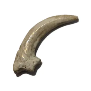 Resin owl claw pendant detail view, realistic animal talon replica for DIY necklace making.