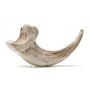 Resin animal claw tooth pendant DIY jewelry accessory gothic style craft decorative charm