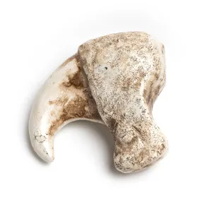 Resin cougar claw pendant replica, realistic animal bone necklace accessory for DIY crafts.