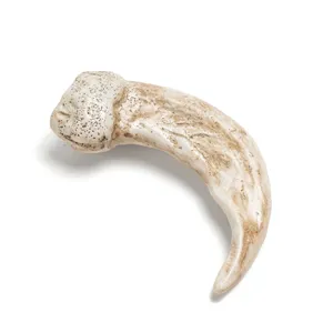 Resin animal claw detail shot, realistic bone texture, perfect for DIY necklace pendants.