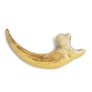 Close-up of a detailed resin animal claw replica pendant, textured surface craftsmanship.