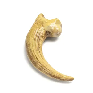 Resin animal claw pendant necklace DIY accessory skull tooth talisman decor craft item