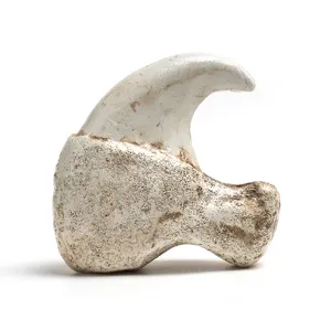 Resin animal claw replica pendant accessory, detailed bone texture design for necklace crafting.