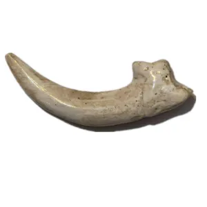 Resin animal claw pendant accessory for DIY necklace and skull jewelry crafting detail view.