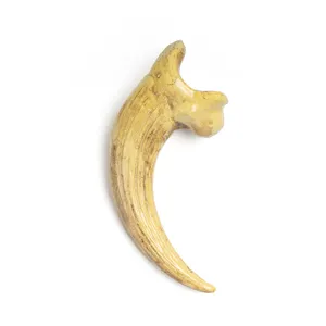 Resin claw pendant dinosaur bone tooth necklace accessory animal skull talisman decor