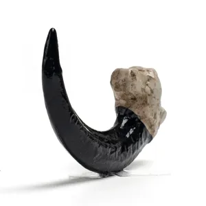 Resin vulture claw pendant accessory, gothic animal skull tooth necklace jewelry charm.