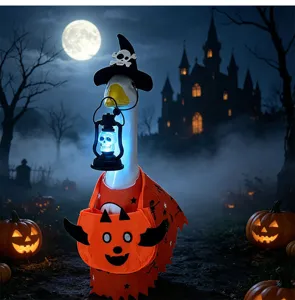 Halloween 23-inch porch goose costume set with skull witch hat glowing lantern cape.